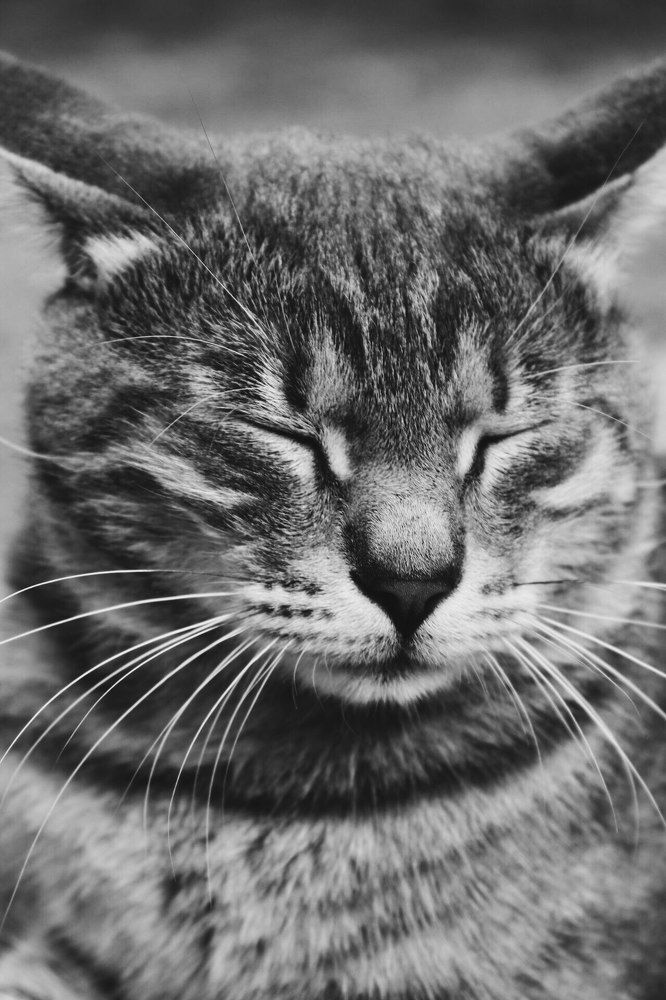 Photograph by Элина Данелия