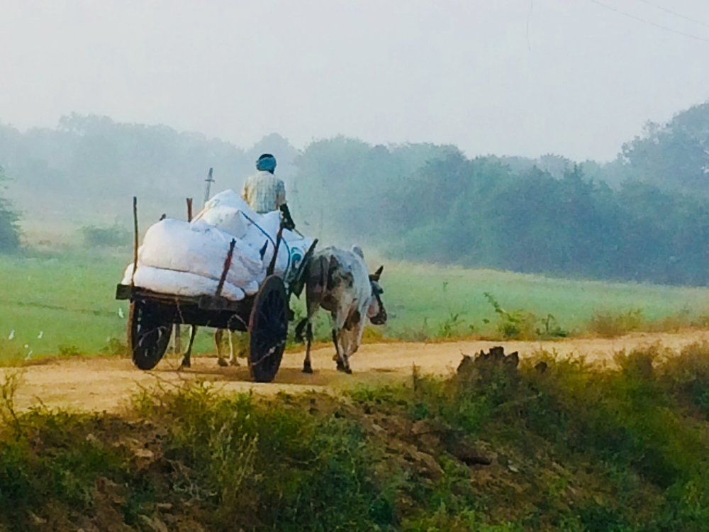 Photograph by Kalikota Praveen