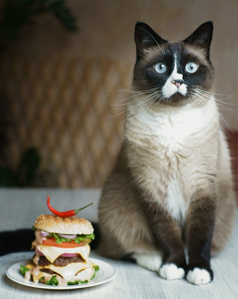 Фотография автора ЯR Ольга