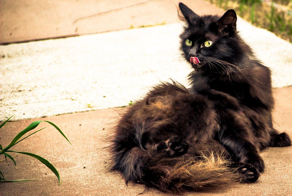 Photograph by Алексей Козлов