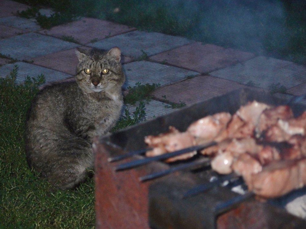 В ожидании угощения