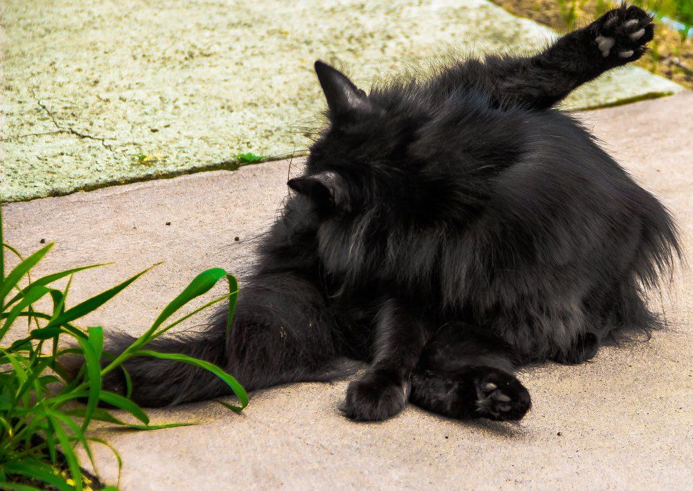 Photograph by Алексей Козлов