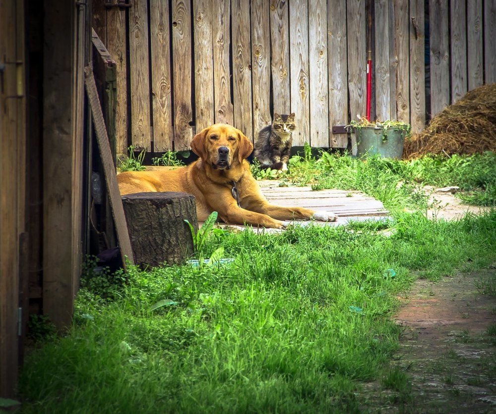 Photograph by Алексей Козлов