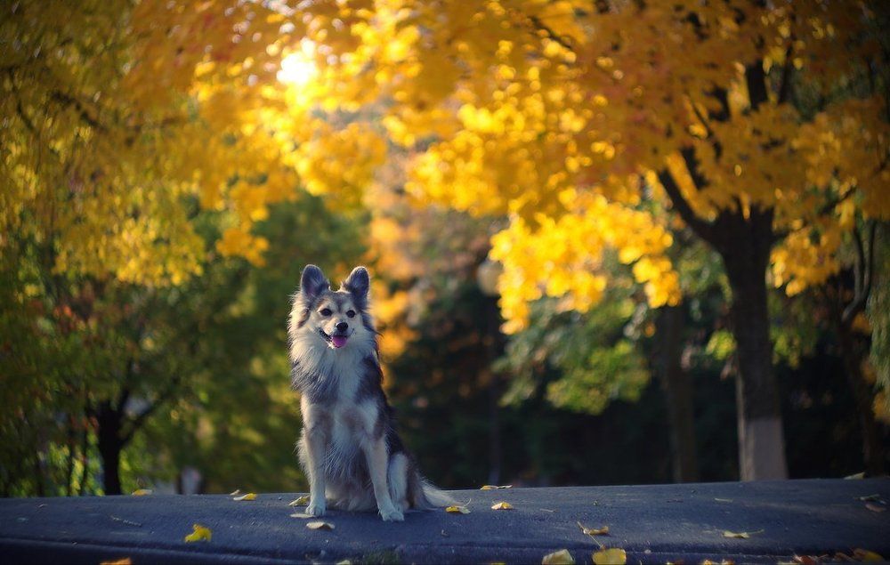 Photograph by Сергей Шляга