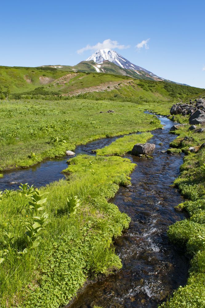 Ручьи Камчатки