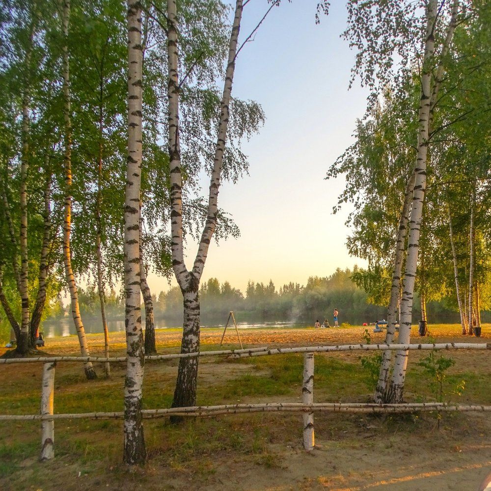 И страна березового ситца...