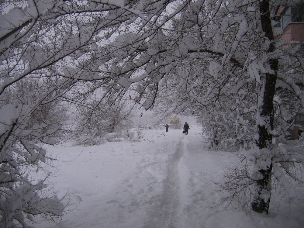 Зима в городе