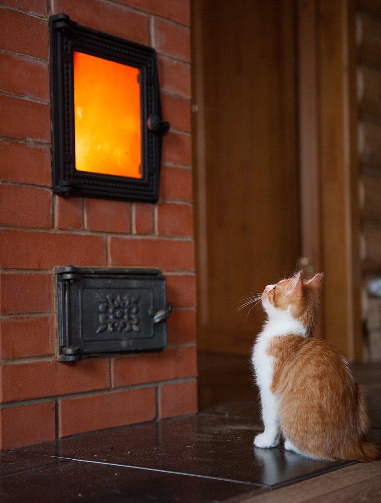 Погреться...