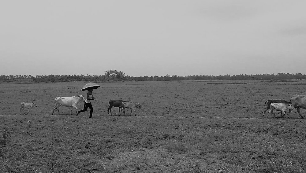 Photograph by Md Abu Sayeed Mondal