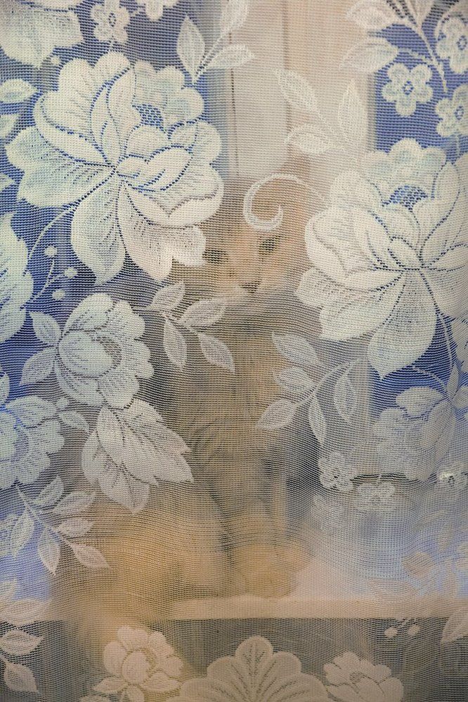 А я всё вижу