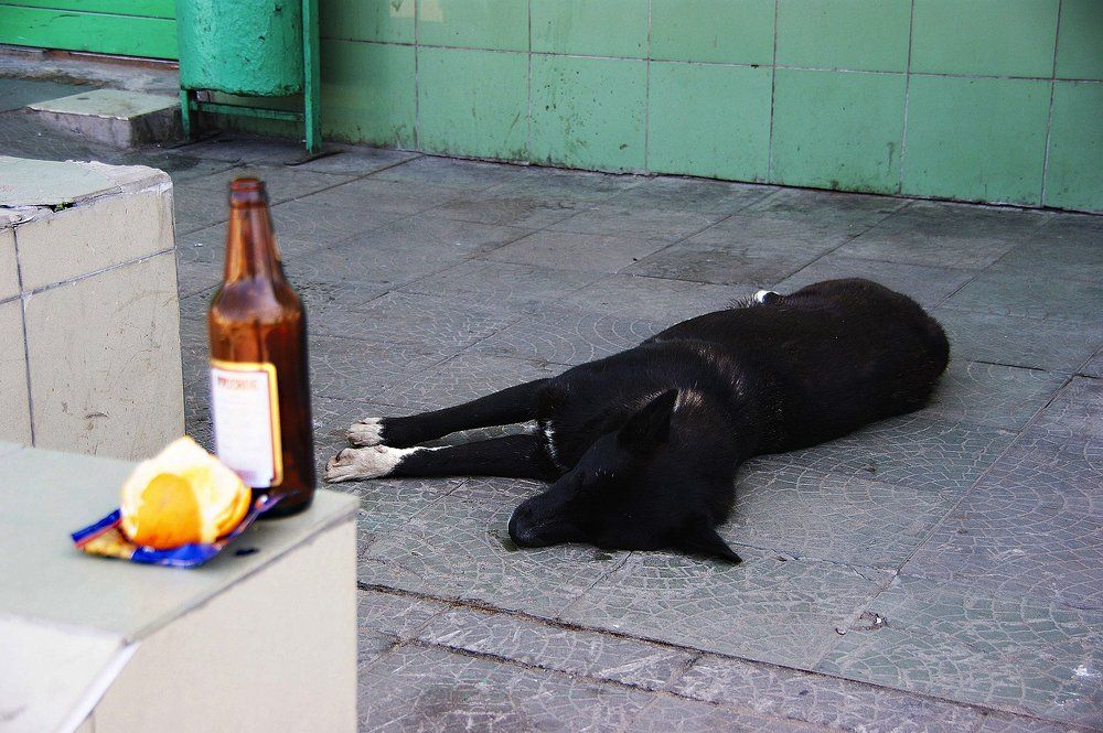 МИНЗДРАВ ПРЕДУПРЕЖДАЛ.