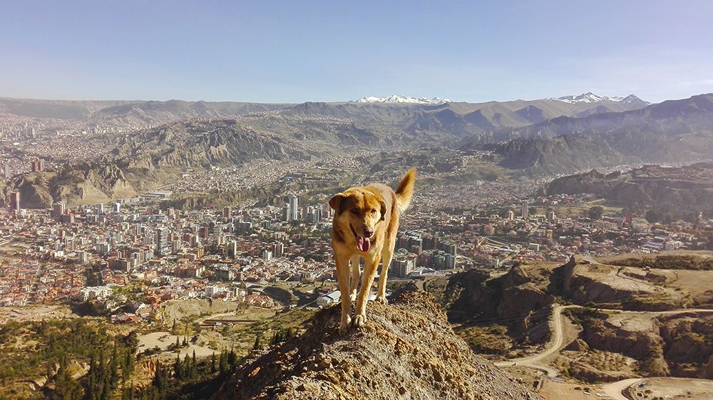 El Guía de la Montaña
