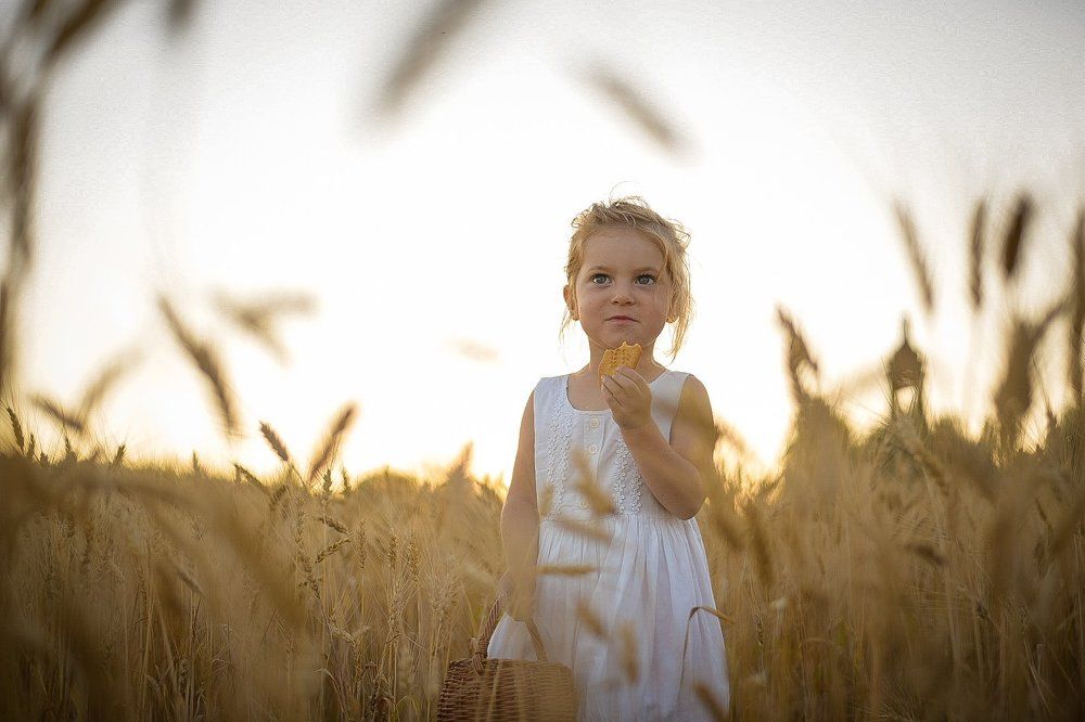 Однажды в поле...