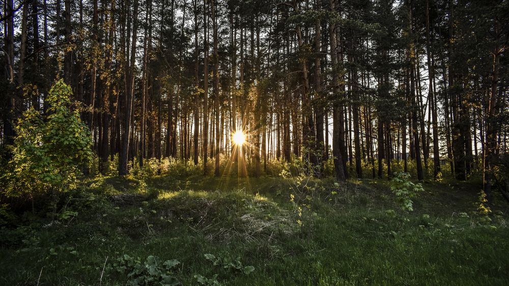 Photograph by Александр Курылёв