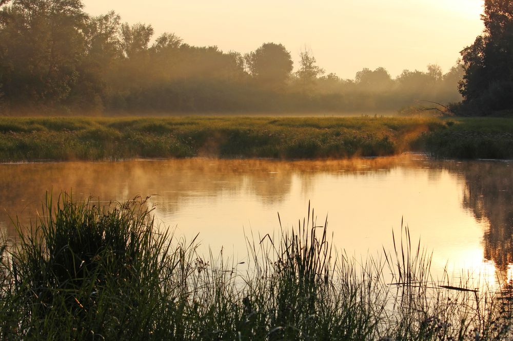 Фотография автора Дарья Шамакина