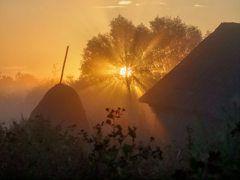 Осеневское утро