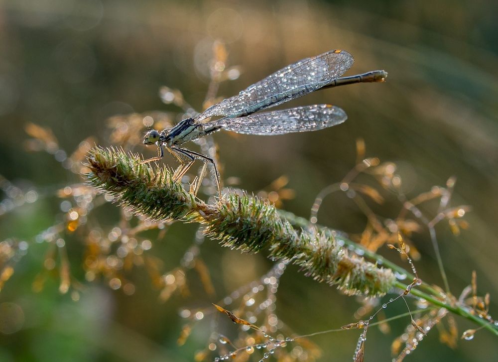 Доброе утро!