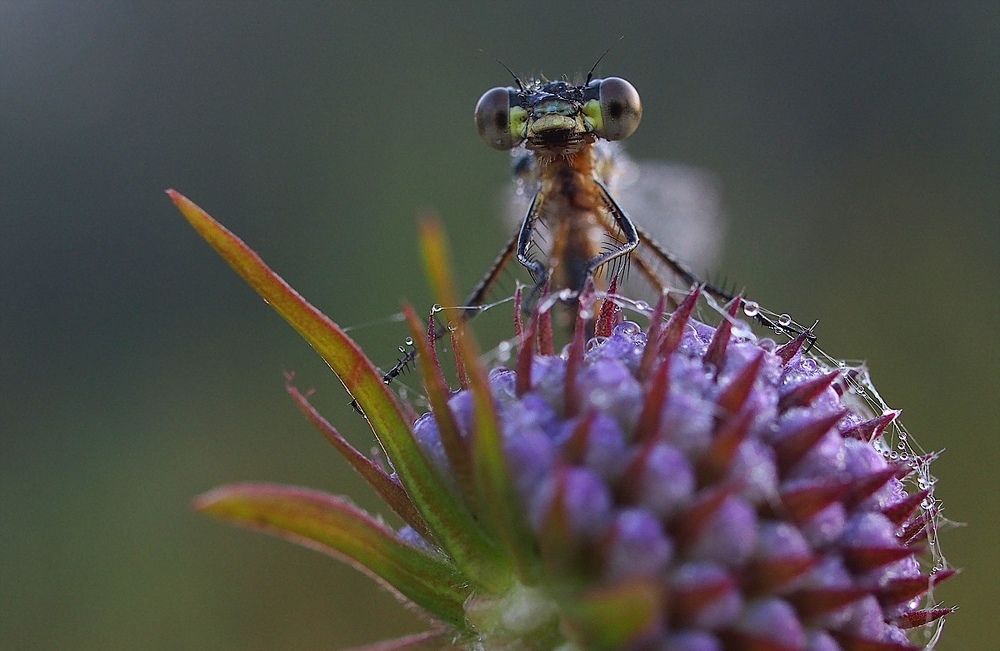 Игра в прятки