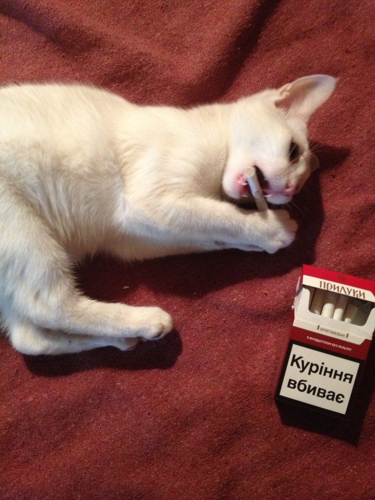 Сейчас съем эту гадость)