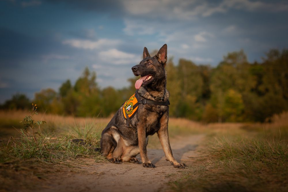 Photograph by Мелентьев Павел