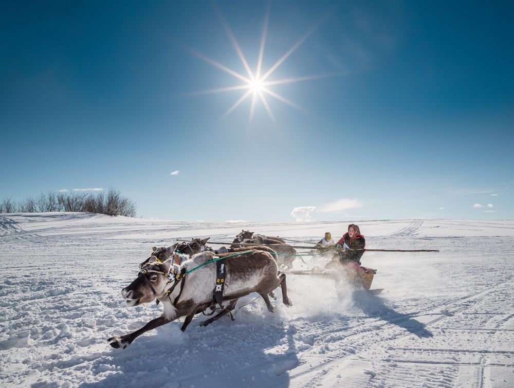 Женские гонки