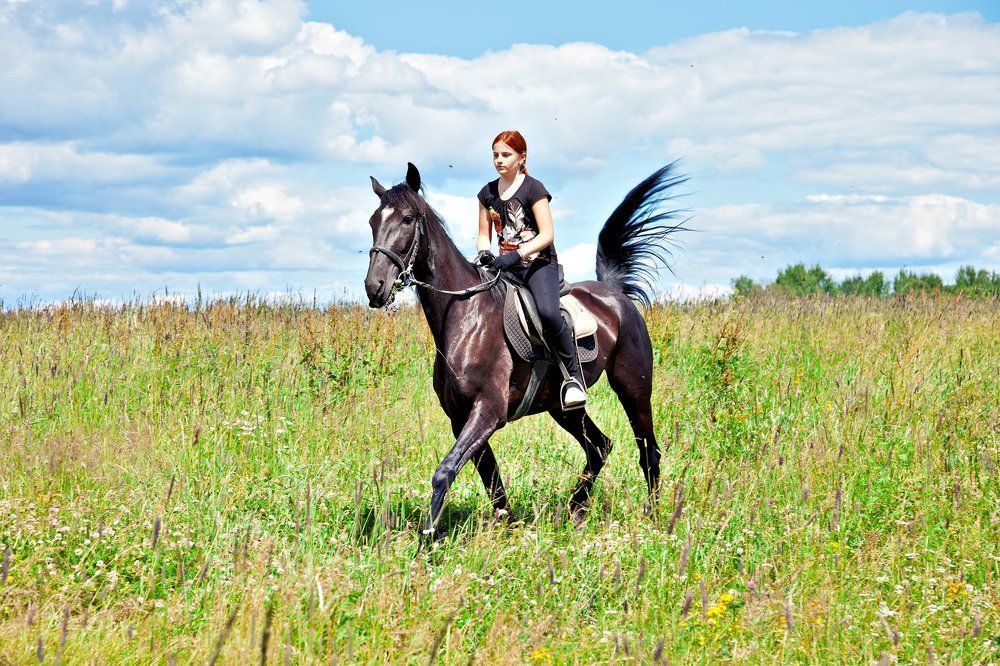 Скачки в поле
