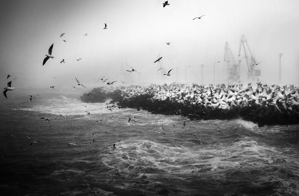 Morning at the Black sea