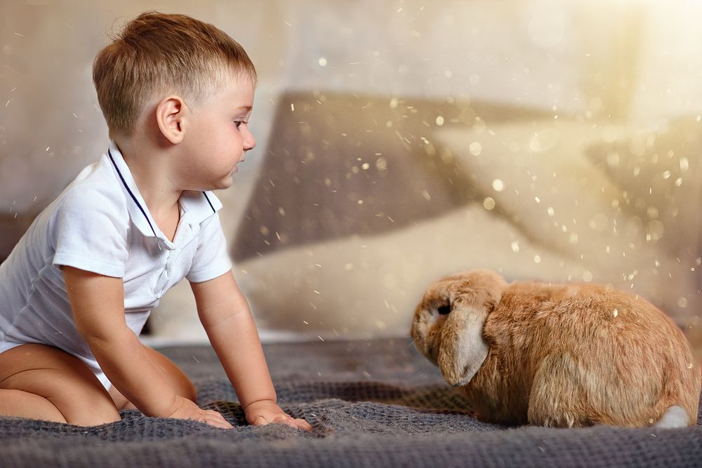 Photograph by Елена Виноградова