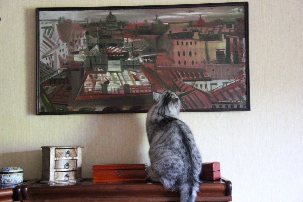 Кот искуствоведа