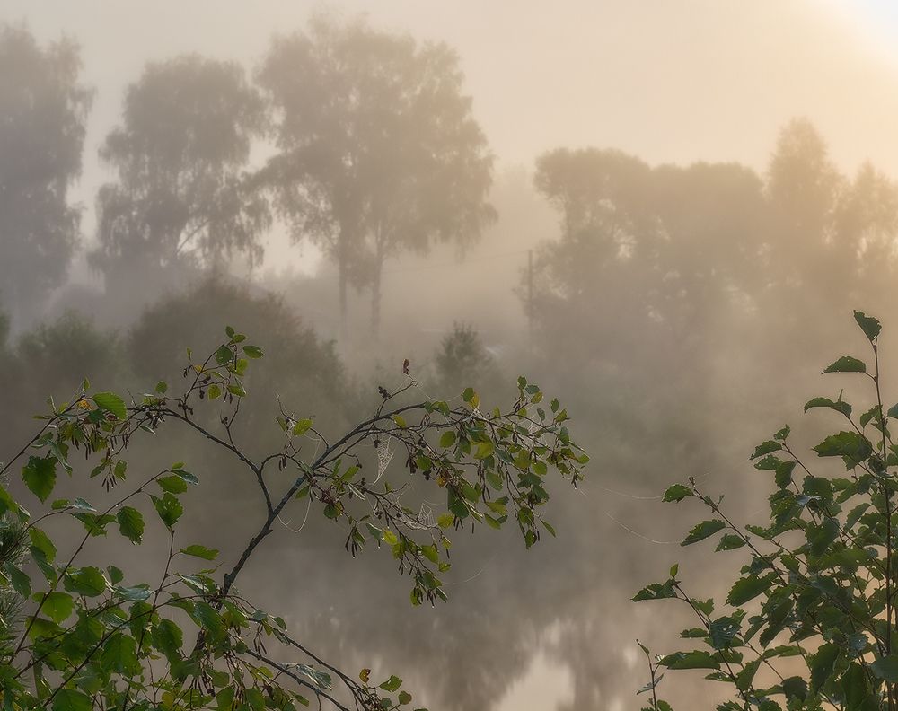 Ещё не рассеялся туман...