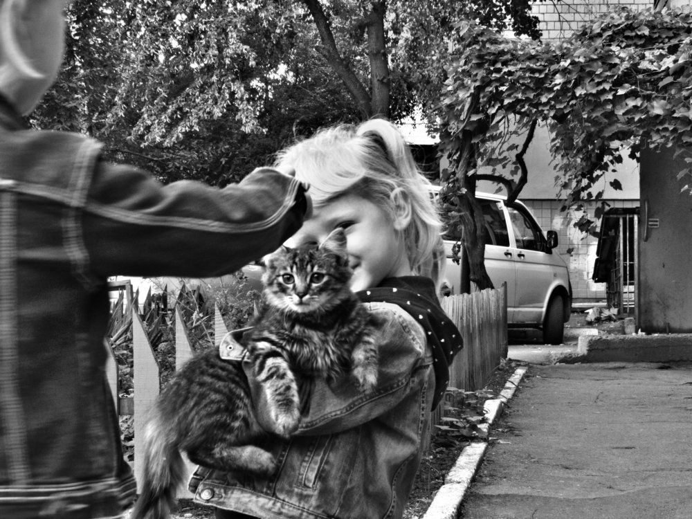 Дети и котенок