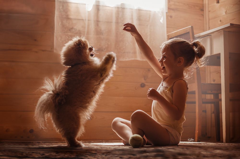 Photograph by Чернова Мария