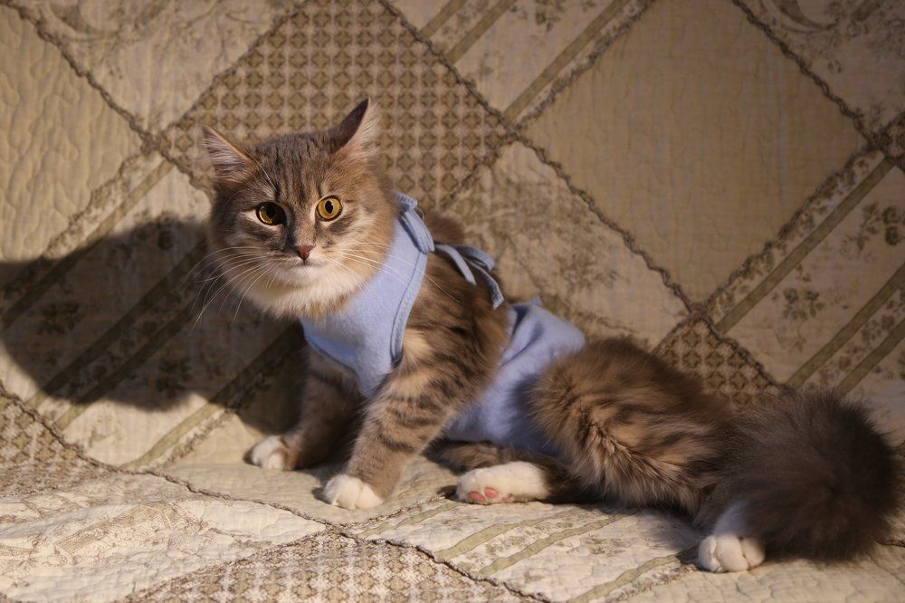 Что вы со мной сделали?