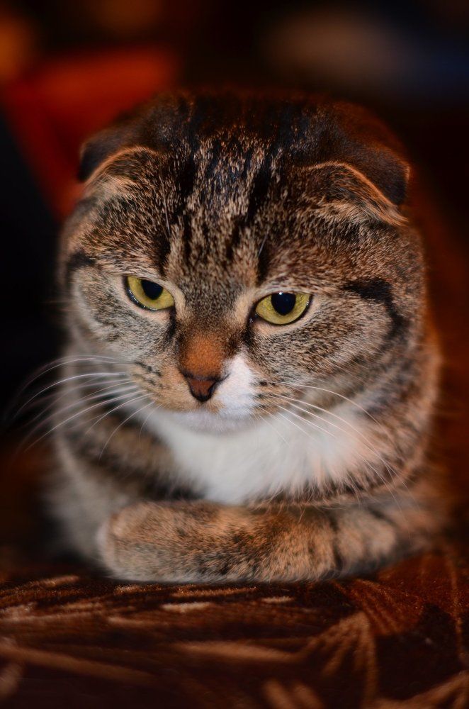 В раздумьях...