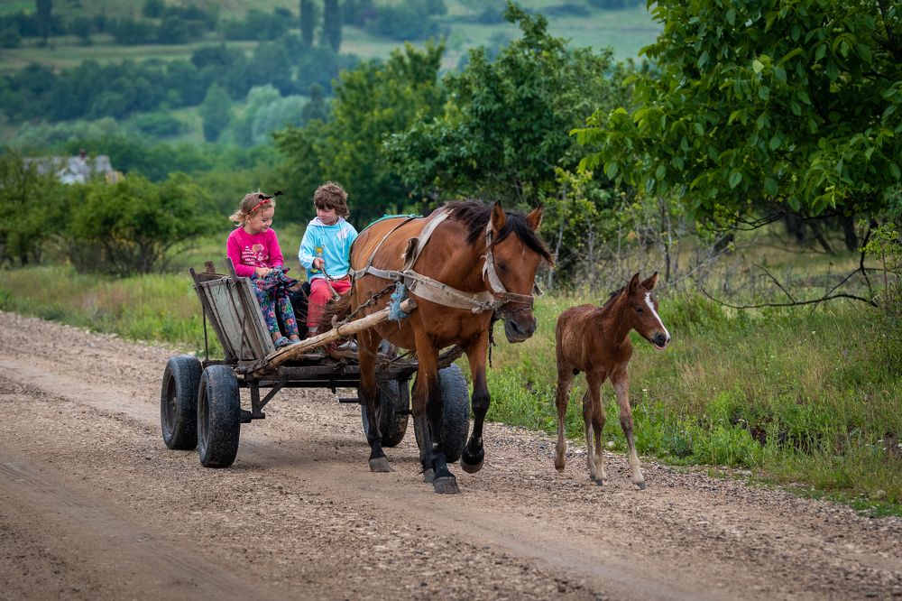 Once in the Countryside