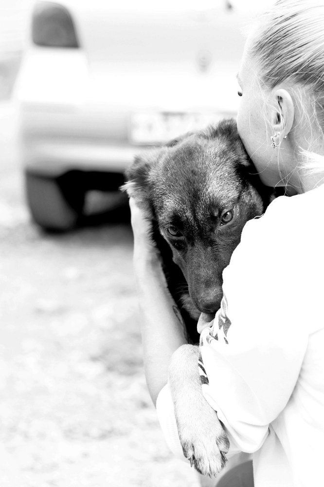 Photograph by Светлана Бевза