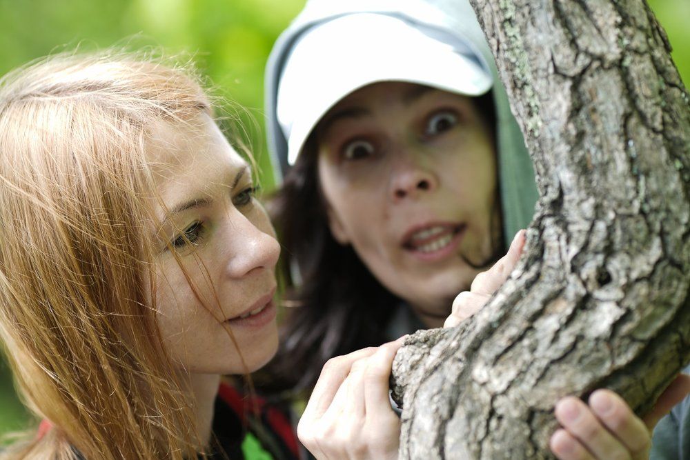 Photograph by Антонов Алексей