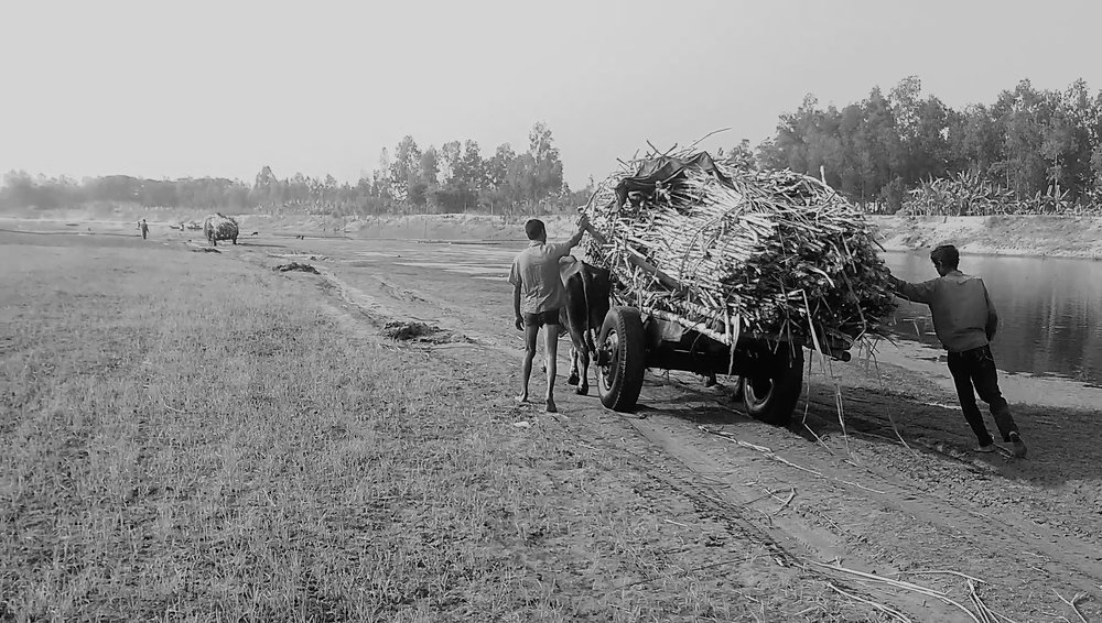 Photograph by Md Abu Sayeed Mondal