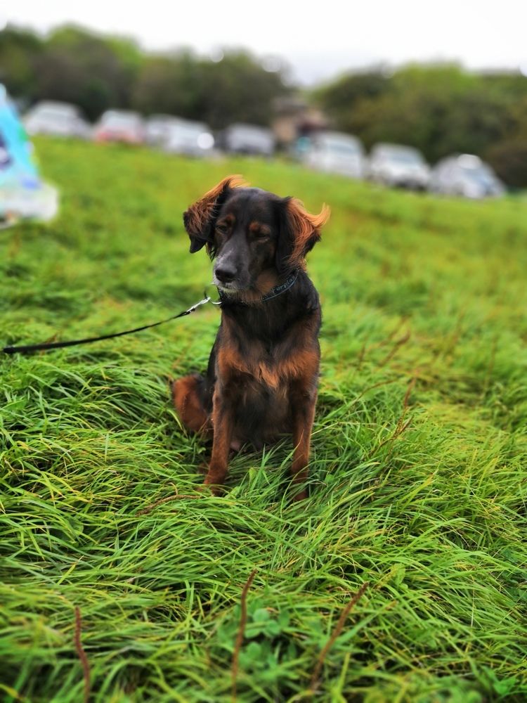 Photograph by Светлана Бевза