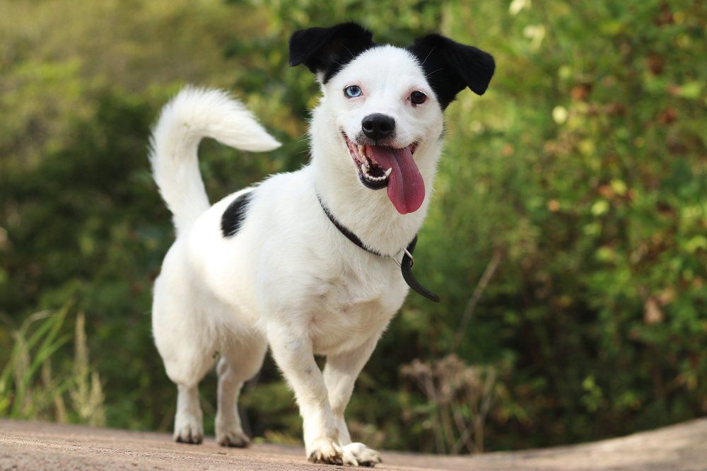 Photograph by Светлана Бевза