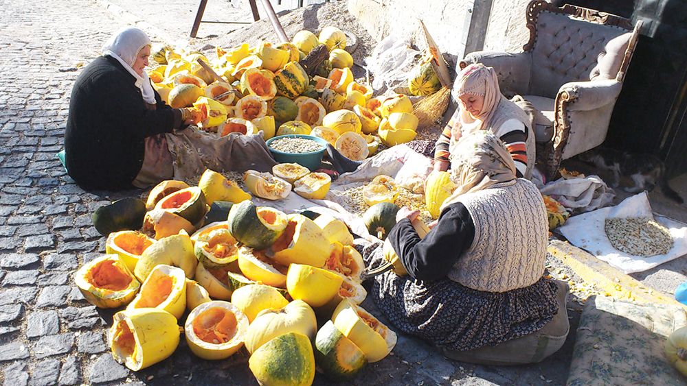 Recolectando semillas