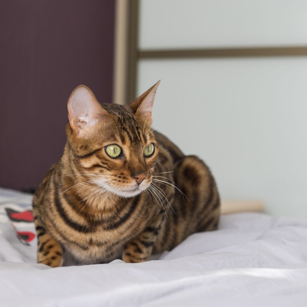 Photograph by Елена Загородская