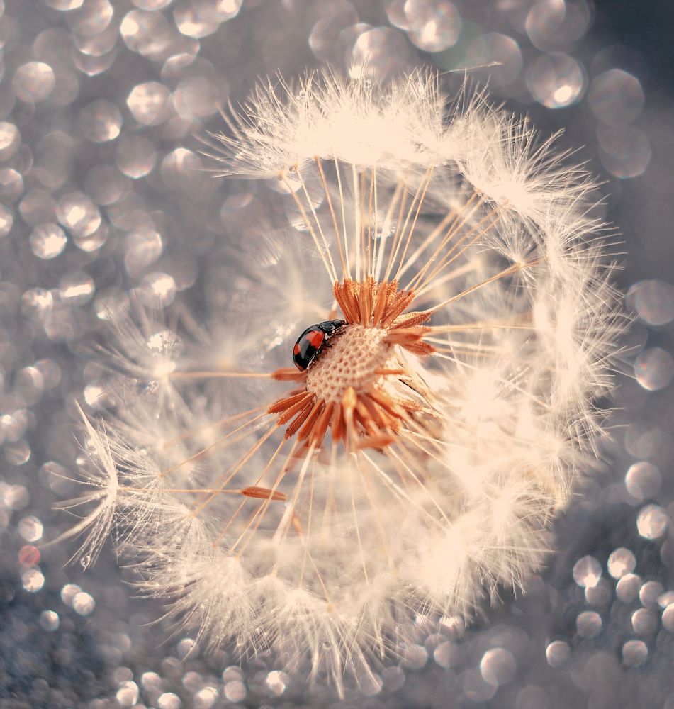 В круговороте.