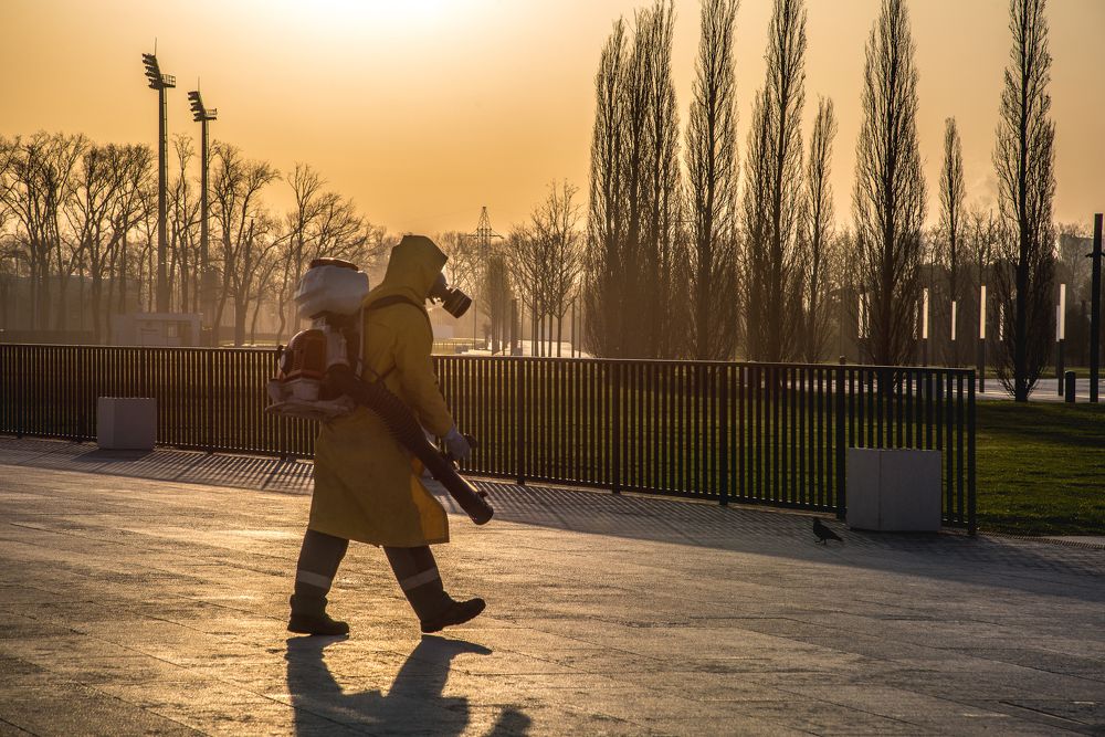 Жизнь после людей