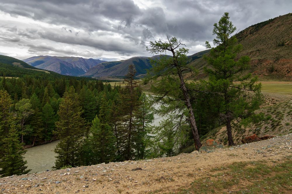 Однажды хмурым днём...