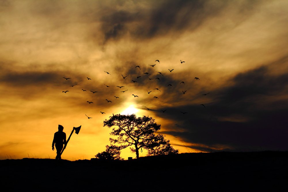 Приближение неизбежного...