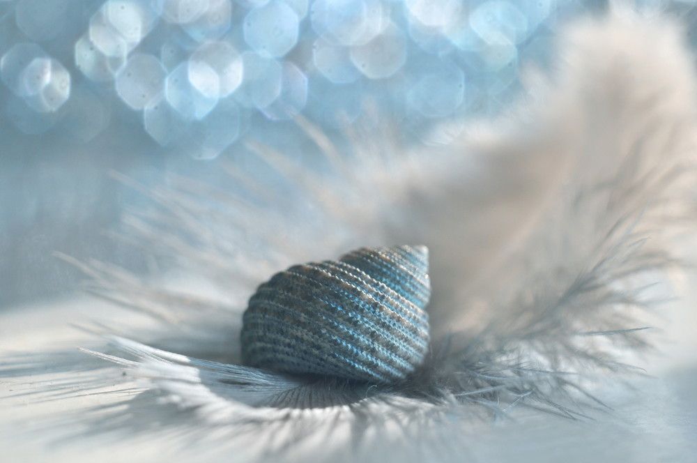 Нежность моря