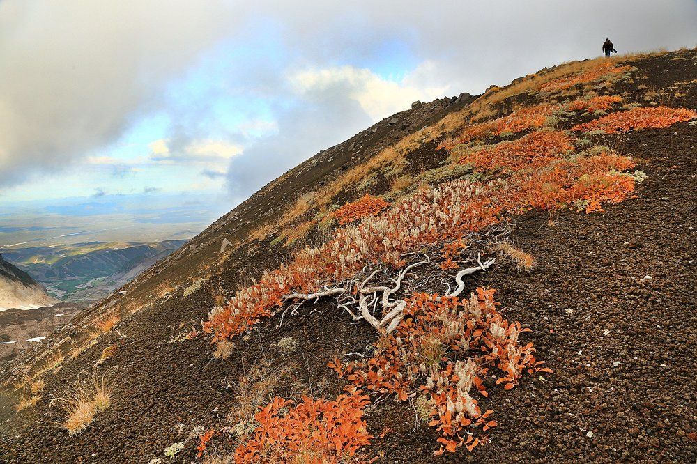 Осеннее настроение.