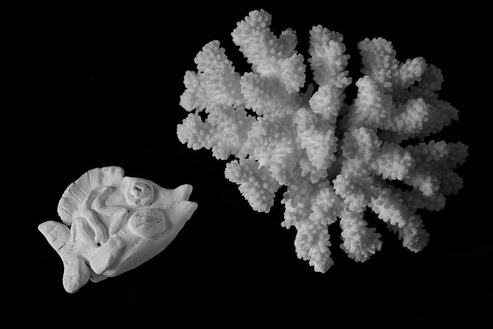 Photograph by Наталья