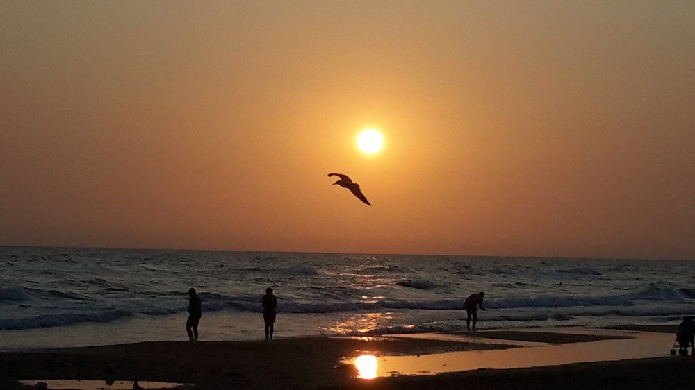 Морской пейзаж